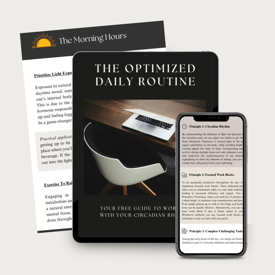 Elizabeth Eksteen The Optimized Daily Routine
