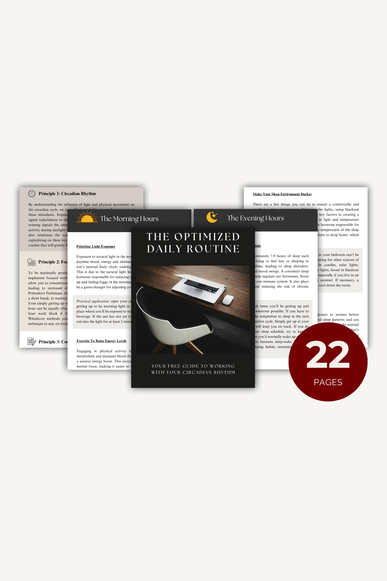 The Optimized Daily Routine